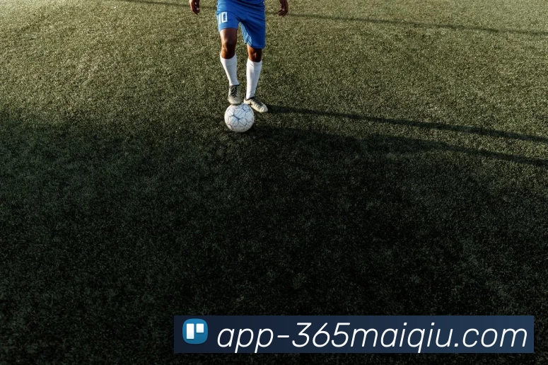 买球站服务体系